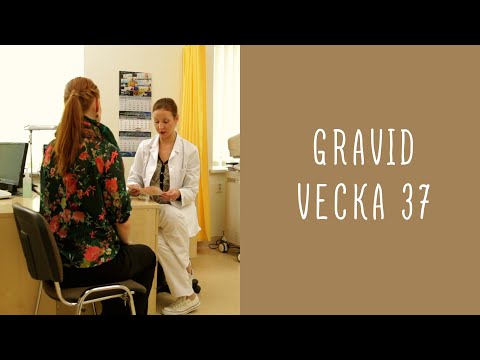 Gravid vecka 37