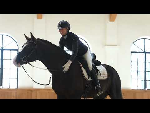 Sky Hengstpräsentation 2022