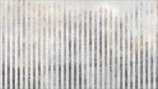 Steve Roden & Tu m' - Flowers Drawn