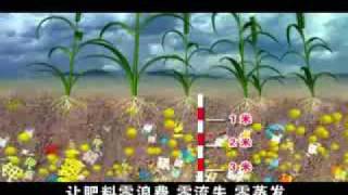 [問卦] 美國衰落的真相！威廉伯爵死了！？