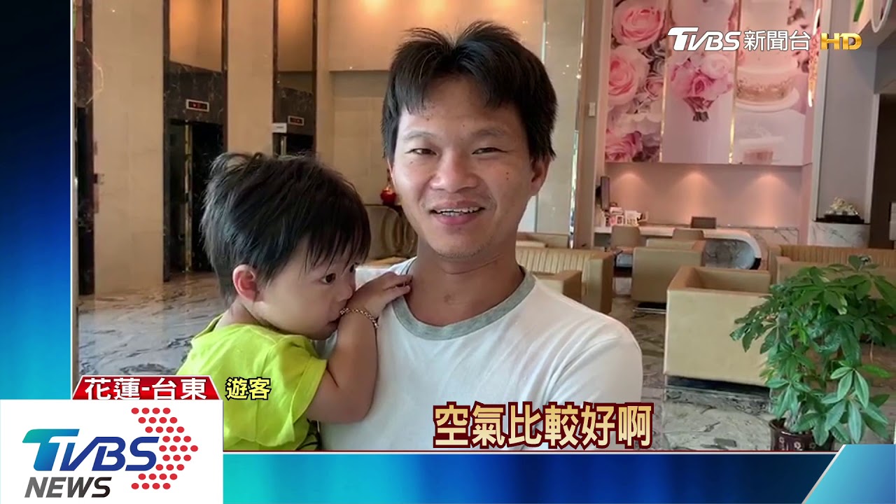 浪浪店長貓「黑米」 萌樣吸4成旅客回訪
