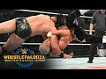 Cody Rhodes Vs Drew McIntyre Undisputed WWE Title Match Wrestlepalooza 2025 Highlights