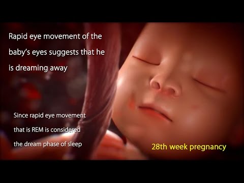 28 Weeks Pregnant: Watch Your Baby's Movement in 28 Week Pregnancy