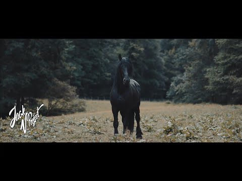 Galwaro & B3nte - Gladiator | Mustang GT cinematic (Music Video)