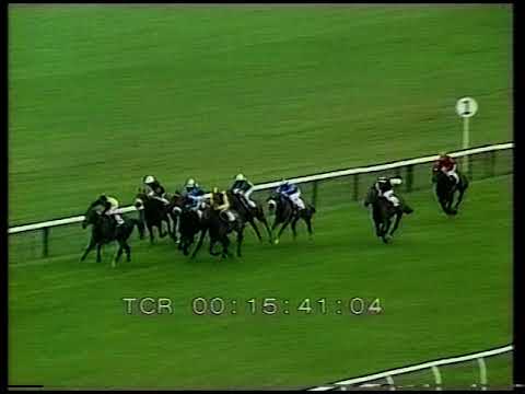 1982 William Hill Cheveley Park Stakes