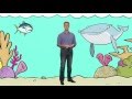 What Is Ocean Governance A Cartoon Crash Course On The High Seas