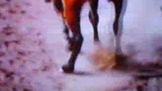 el moro de cumpas  R.I.P antonio aguilar