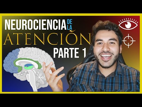 ATTENTION and REALITY - Neuroscience and Attention Chapter 1