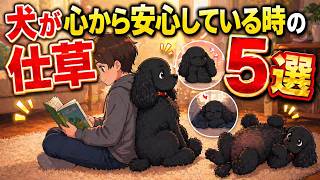 犬が心から安心している時の仕草5選