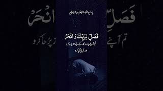 Download lagu Surat_ul_kosur #quran #unfrezzmyaccount #qurantilawathearttouchingvoice #sura mp3 Download lagu Surat_ul_kosur #quran #unfrezzmyaccount #qurantilawathearttouchingvoice #sura mp3