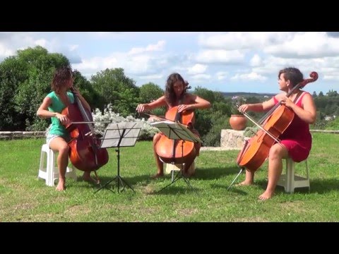 Como el aire (Juan Falú) - Trio Gazzo Menta Vicente