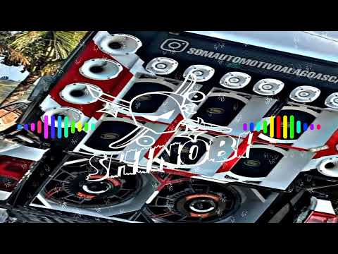 SELEÇÃO DE FORRÓZIN 2.0 - AS MELHORES DO TIK TOK 2022-PRA PAREDÃO - DJ MIZZONTTI