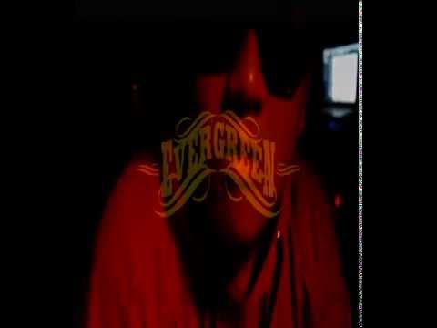 EVERGREEN STUDIO x DhapzDog