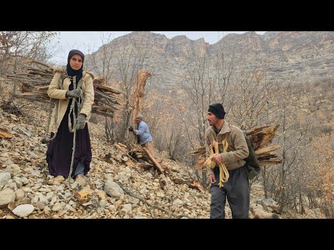 ❄️documentary about nomadic life:🪵🪓collecting firewood for the cold winter days and trying survive🔥