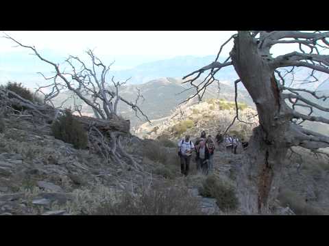 Desafo vertical. Subida al pico Torrecilla en Sierra de las NIeves