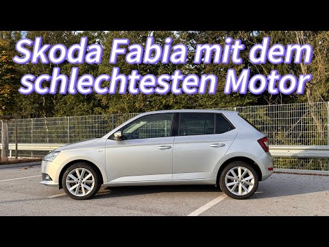 Skoda Fabia 1.0 tsi 110 hp  2019 gekauft (zu teuer  11.000 Euro ?) #skoda #automobile