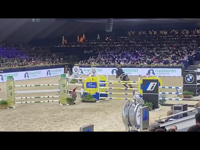 Half-sister of the colt Buffalo Tom W&M Z is the Grand Prix CSI 1.55m jumping mare Vivoulette HD with rider Jeroen Appelen.