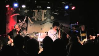 Scruffy the Cat with Dave Minehan - 40 Days & 40 Nights