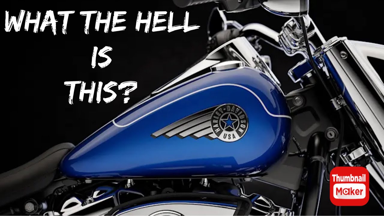 2025 Fatboy - What The Hell Is This?