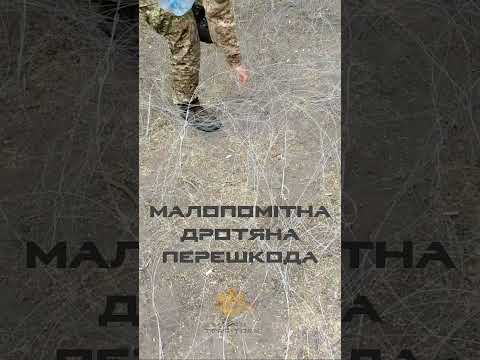 МПП "Путанка"
