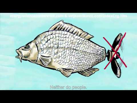 Veljko Milkovic - 2 Stage Mechanical Oscillator