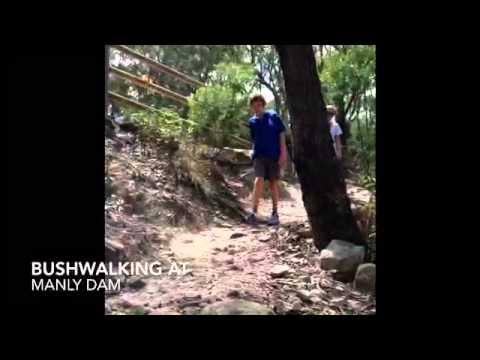 Fisher Road School Sport film thumbnail