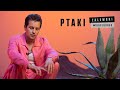 Ptaki by Krzysztof Zalewski