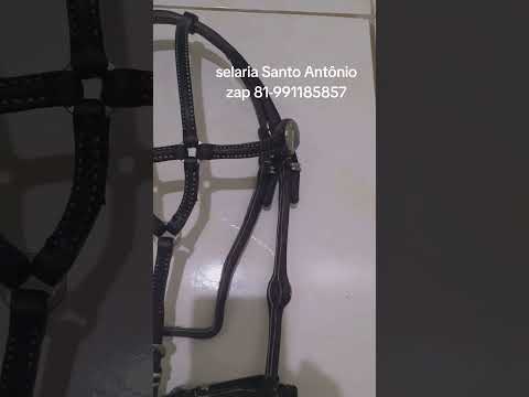 perneira de vaquejada + cabeçada,, vai pra Décio, do auto posto Reis, Tabocas do Brejo Velho-Ba