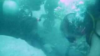 Treasure Divers Looking for Gold on a Spanish Galleon
