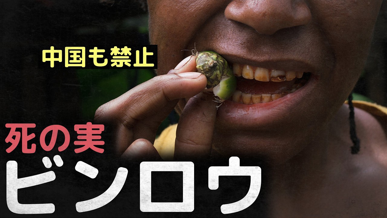 「中国も禁止」6億人が依存症になった死の実、ビンロウ
