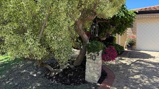 Video overview for 10 Pinewood Walk, Canning Vale  WA  6155