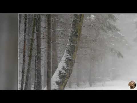 группа "РИФ"."Волшебный мир" 1993 год.