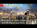 Eid E Milad Best Whatsapp Status 12 Rabi Ul Awwal Eid Milad Un Nabi Whatsapp Status Islamic Status
