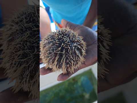 Beautifull song with Beautiful place#viral #trending #subscribe #shorts #short