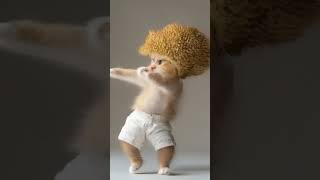 😻😻Cat videos funny dance 💃💃Videos for cats #cats #cat #cute #catdancer #funny