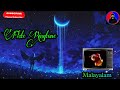 Malayalam Ringtone Flute Ringtone Malayalam Status Videos Fluteringtone Bgm Kilichundanmambazham