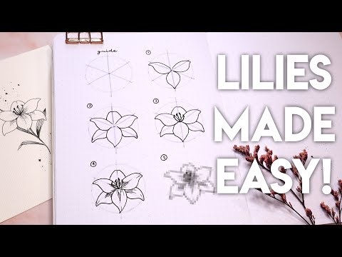 How To Draw Lilies Like A Legend