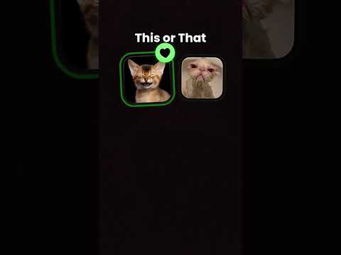 this or that cat #cat #animals