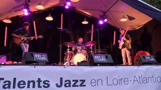 Ginkgo // Boozer (John Scofield)