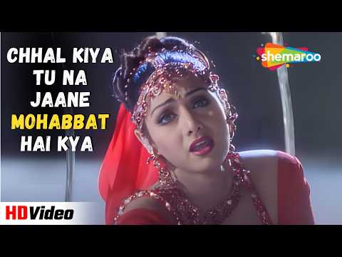 Chhal Kiya Tu Na Jaane Mohabbat Hai Kya | Udit Narayan Hits | Preeti Singh | Sridevi, Rishi Kapoor