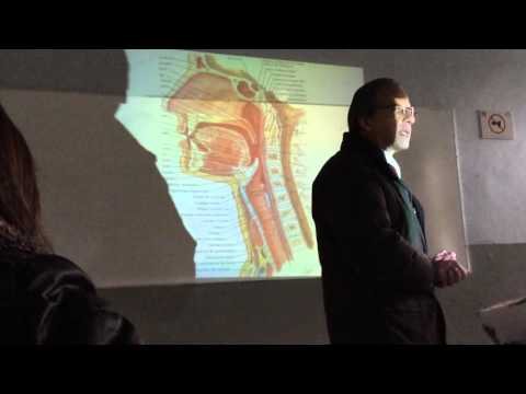 Sistema Digestivo [Faringe]