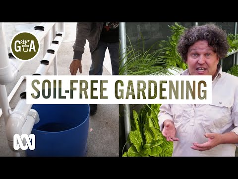 Hydroponics Explained: Grow More Veggies Without Soil | Discovery | Gardening Australia