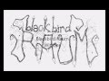 Blackbird Raum - Witches lyrics 