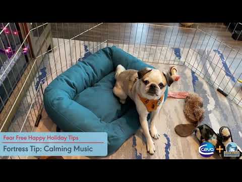 Keep Your Dog’s Holidays Happy with a Fear Free Fortress