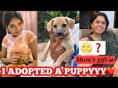 ADOPTED A DOG 😭 | Gifted something to mom ❤️