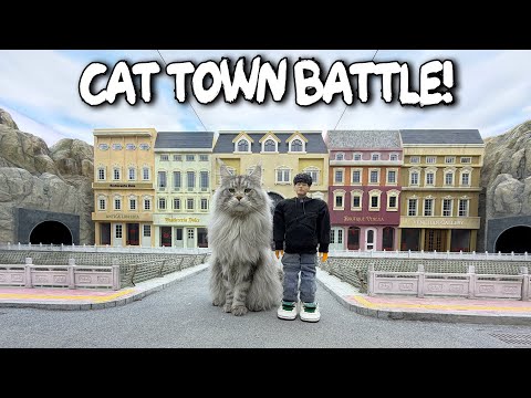 Mr. Nice vs Tutu in Cat Town
