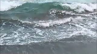 Senden başka  kimsem yok  Sibel  Can