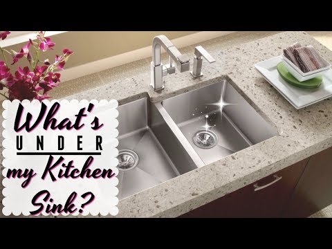 WHAT'S UNDER MY KITCHEN SINK? // How to Organize Under the Kitchen Sink Cabinet Video