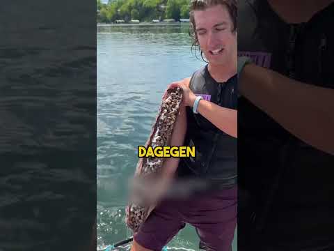Niemand glaubte, dass er darauf surfen würde