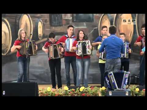 Harmonikarski orkester Primoža Zvira - Golica